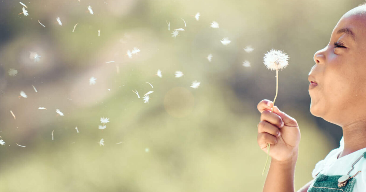 child blowing dandelion seeds