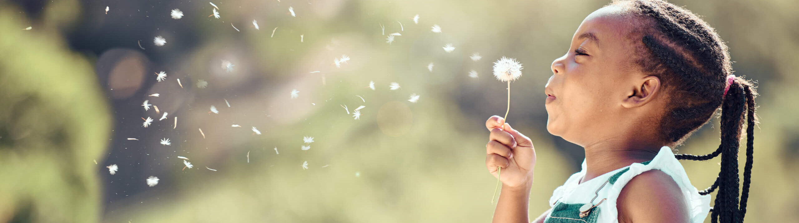 child blowing dandelion seeds