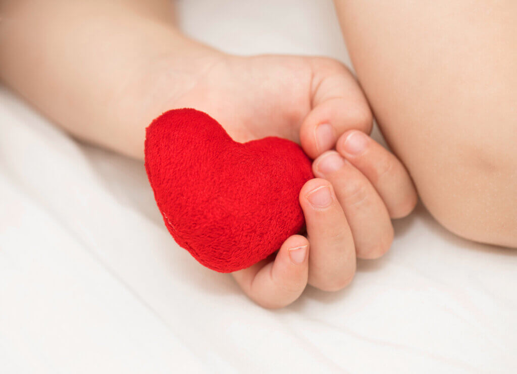 Toddler keeps red plush heart. Closeup